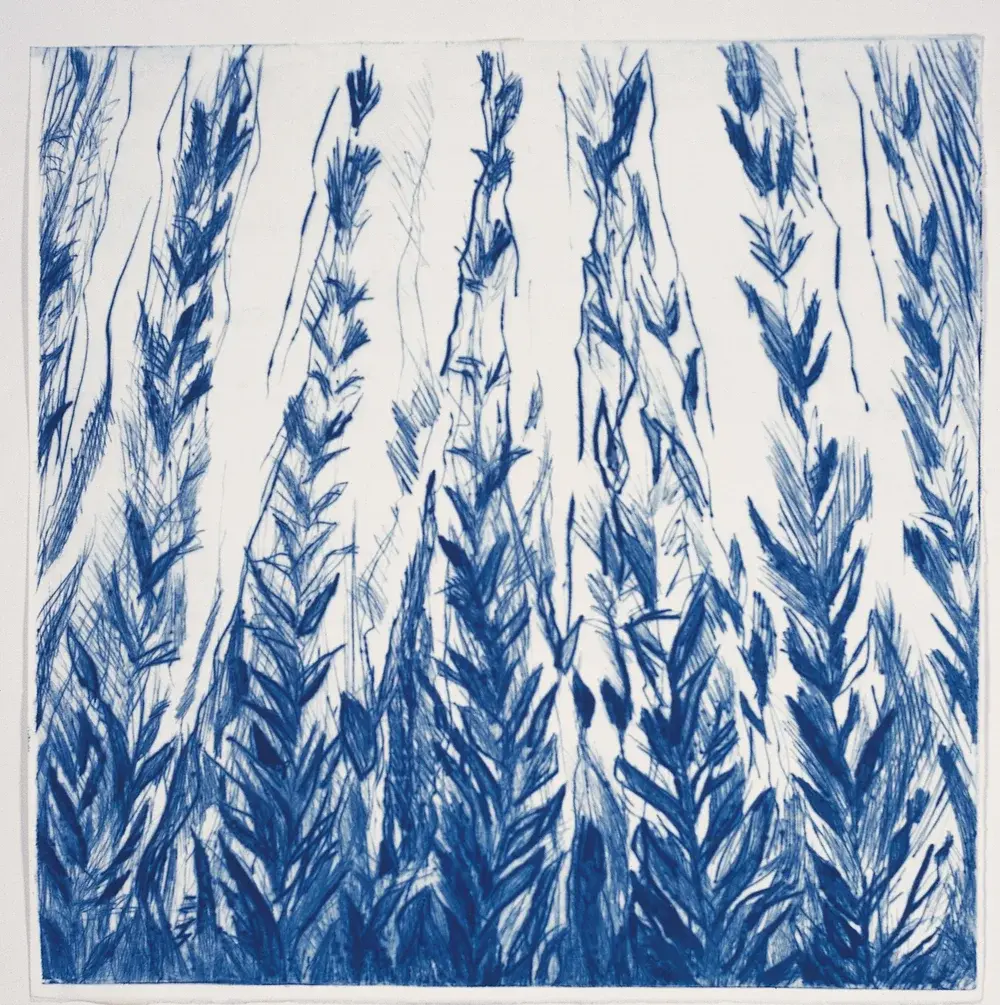 Evgenia Quilting Magazine copyedit-1763565853358.webp